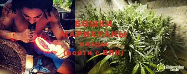 тгк Протвино