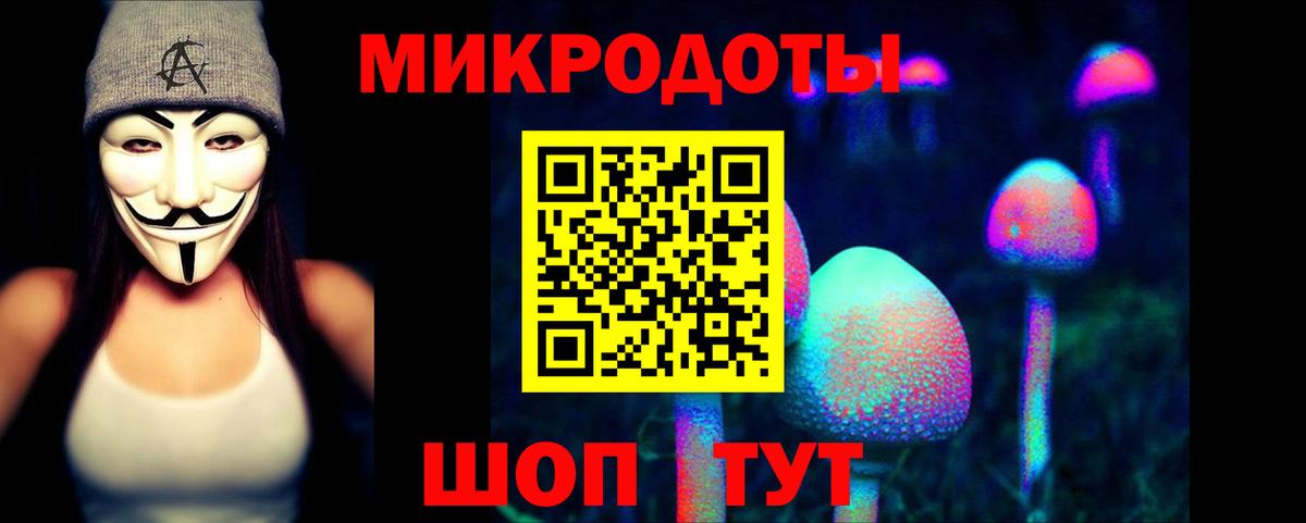 Россошь  Псилоцибиновые грибы MAGIC MUSHROOMS  Вход с VPN 